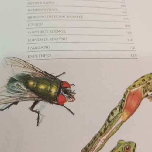 How Nature Works children's book used