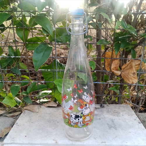 Borgonovo glass bottle with clip, 1 litre, Italy