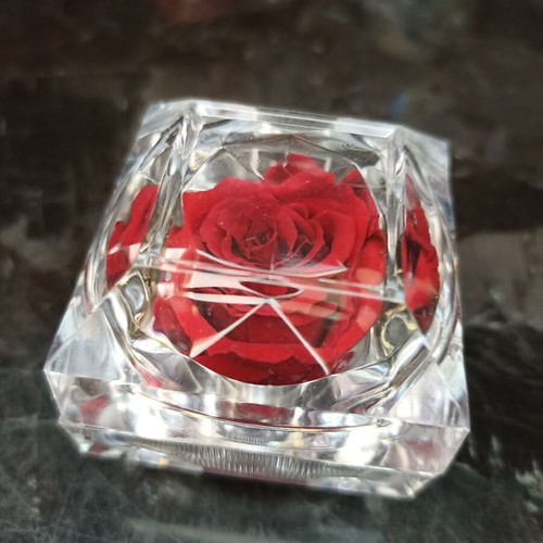 Eternal Rose miniature 5x5, like new, dried