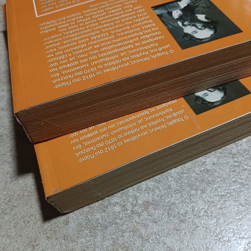 Great Expectations by Charles Dickens set of two books like new