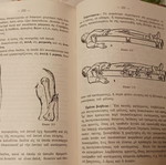 Protai Voitheiai used science book