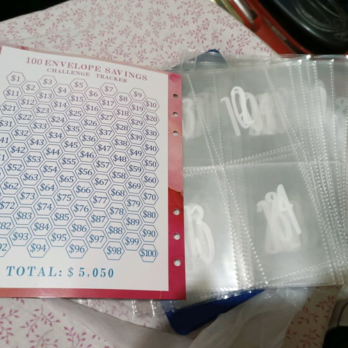 Envelope savings challenge calendar sheets like new with 100 envelopes
