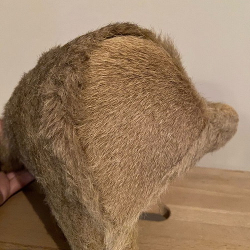 Vintage stuffed koala used from Australia with wind-up music box