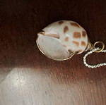 Long summer necklace new with shell