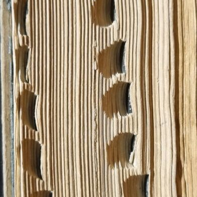 Pack of 8 used dictionaries