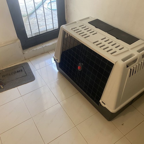 Dog Transport Crate 100x60 New