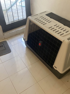 Dog Transport Crate 100x60 New