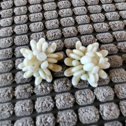 Vintage white clip-on earrings used, old style