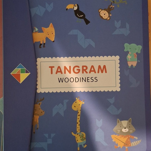 Tangram wooden magnetic puzzle book for kids like new