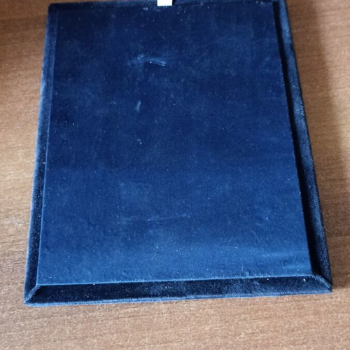 Segas Collectible Honorary Plaque large size, like new