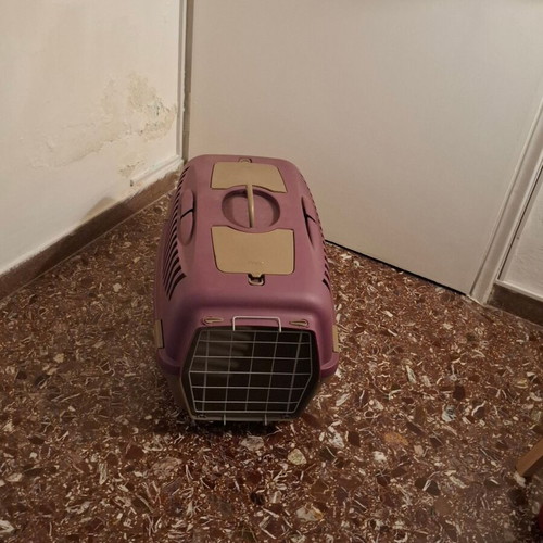 Cat and dog carrier basket