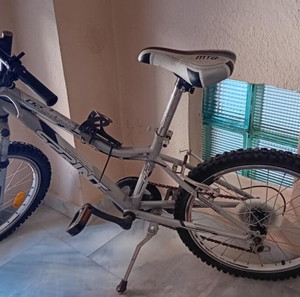 Mountain bike