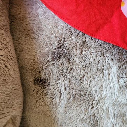 Nici elephant stuffed toy used in very good condition