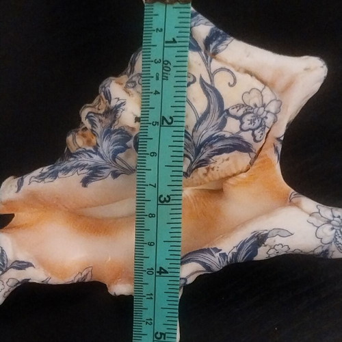 Decoupage shell like new with matte finish on natural shell