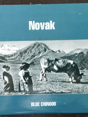 Novak 7" vinyl record used, rock genre