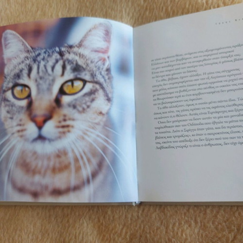Book album The Seven Souls of Athens new