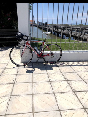 Bianchi Infinito road bike 2012, carbon frame, red/white, size 58