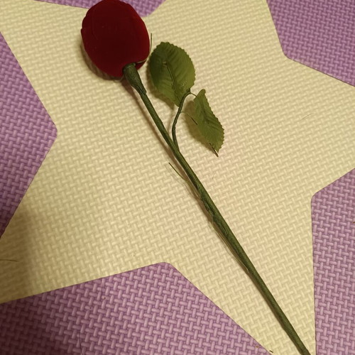 Ring box rose, like new, red