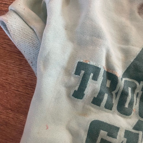 Dog shirt for small breed up to 8 years used with scratches