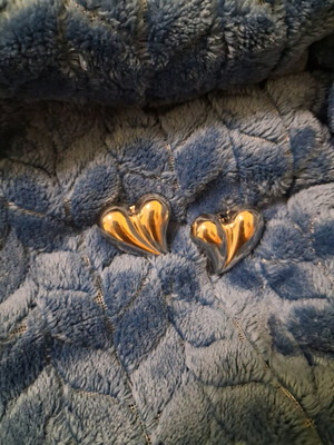 Stainless steel heart-shaped earrings new, silver color