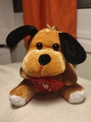 Small stuffed dog used holding a heart