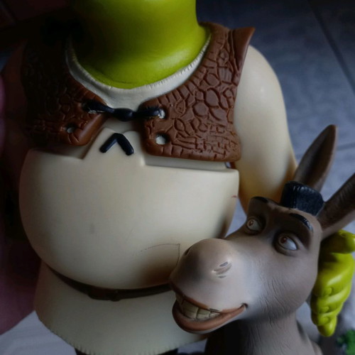 Shrek shampoo container used