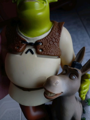 Shrek shampoo container used