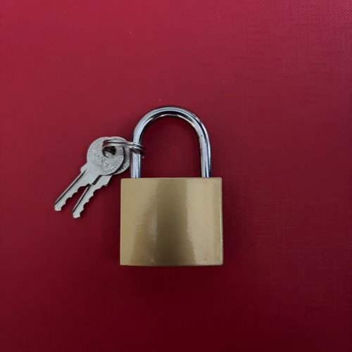 Lock brand new with 2 keys