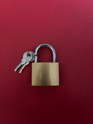 Lock brand new with 2 keys
