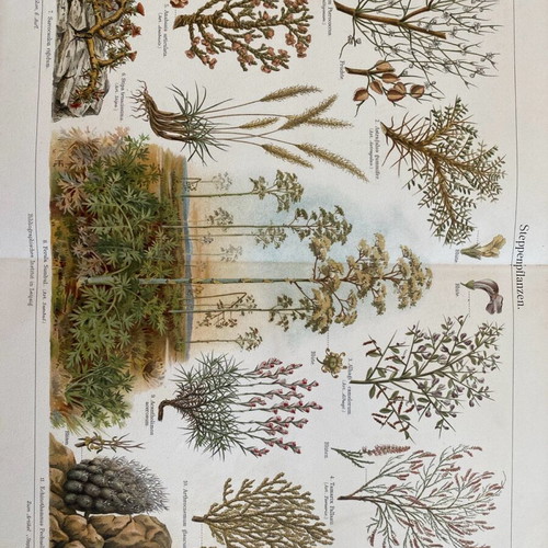 Collectible engraving used
