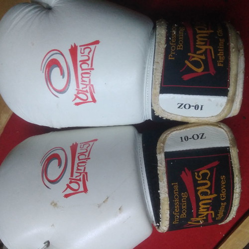 Olympus boxing gloves like new