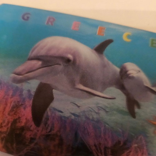 3D magnet new with dolphins