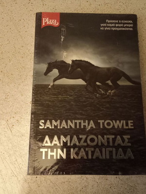 Taming the Storm book sealed