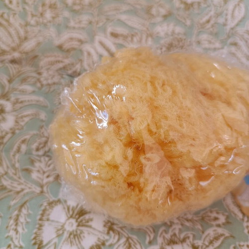 Natural sponge new