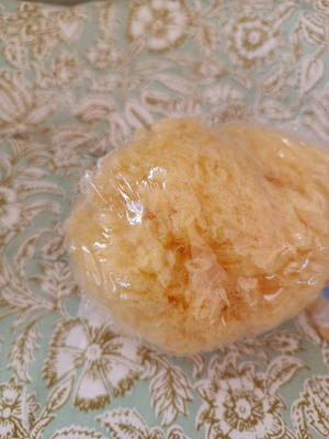 Natural sponge new