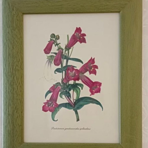 Framed art print used