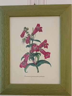Framed art print used