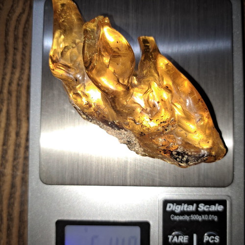 Baltic amber with insects, new, 51.48 g, millions of years old