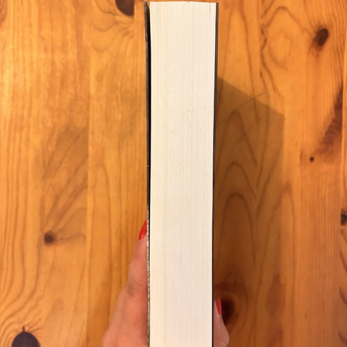 Jennifer Donnelly The Rose novel