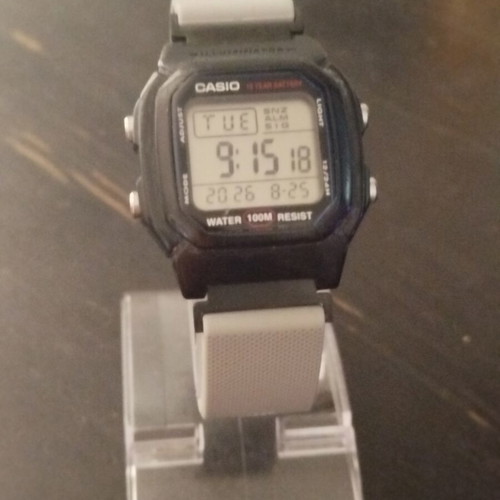 Casio W800H watch with two straps, grey and black