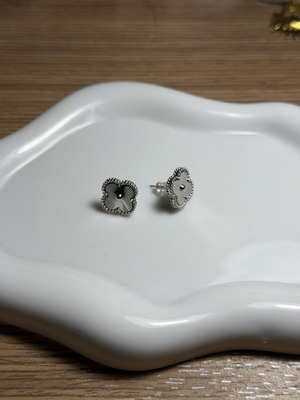 Stainless steel earrings new, silver color