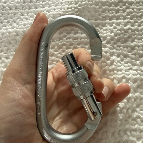 Steel Oval Pro Lock Carabiner CAMP