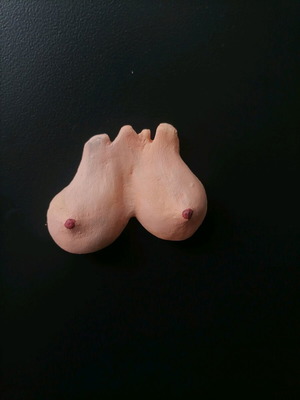 Handmade magnets new from plaster and acrylics