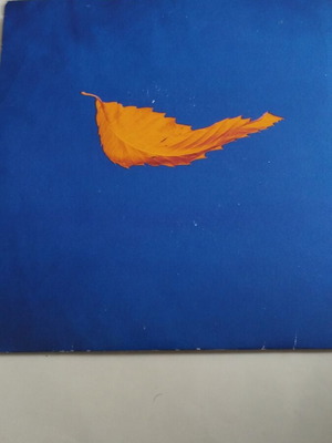 New Order True Faith 1963 7" single μεταχειρισμένο, pop