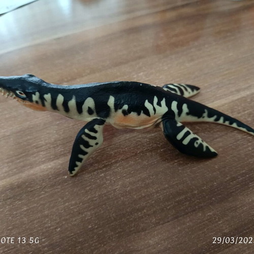 Liopleurodon sea dinosaur used, length 17cm