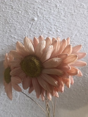 Decorative flowers used