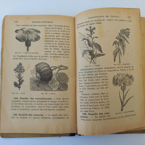 Premieres Notions de Sciences Physiques et Naturelles science book used 1901 French edition
