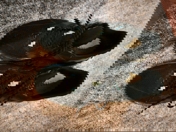 adidas παπούτσια