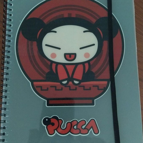 Set of 2 PUCA spiral notebooks with glossy cover and elastic band new
