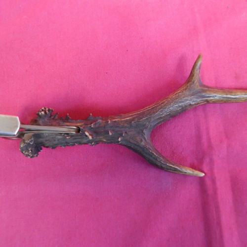 Cigar cutter for small cigars embedded in deer antler